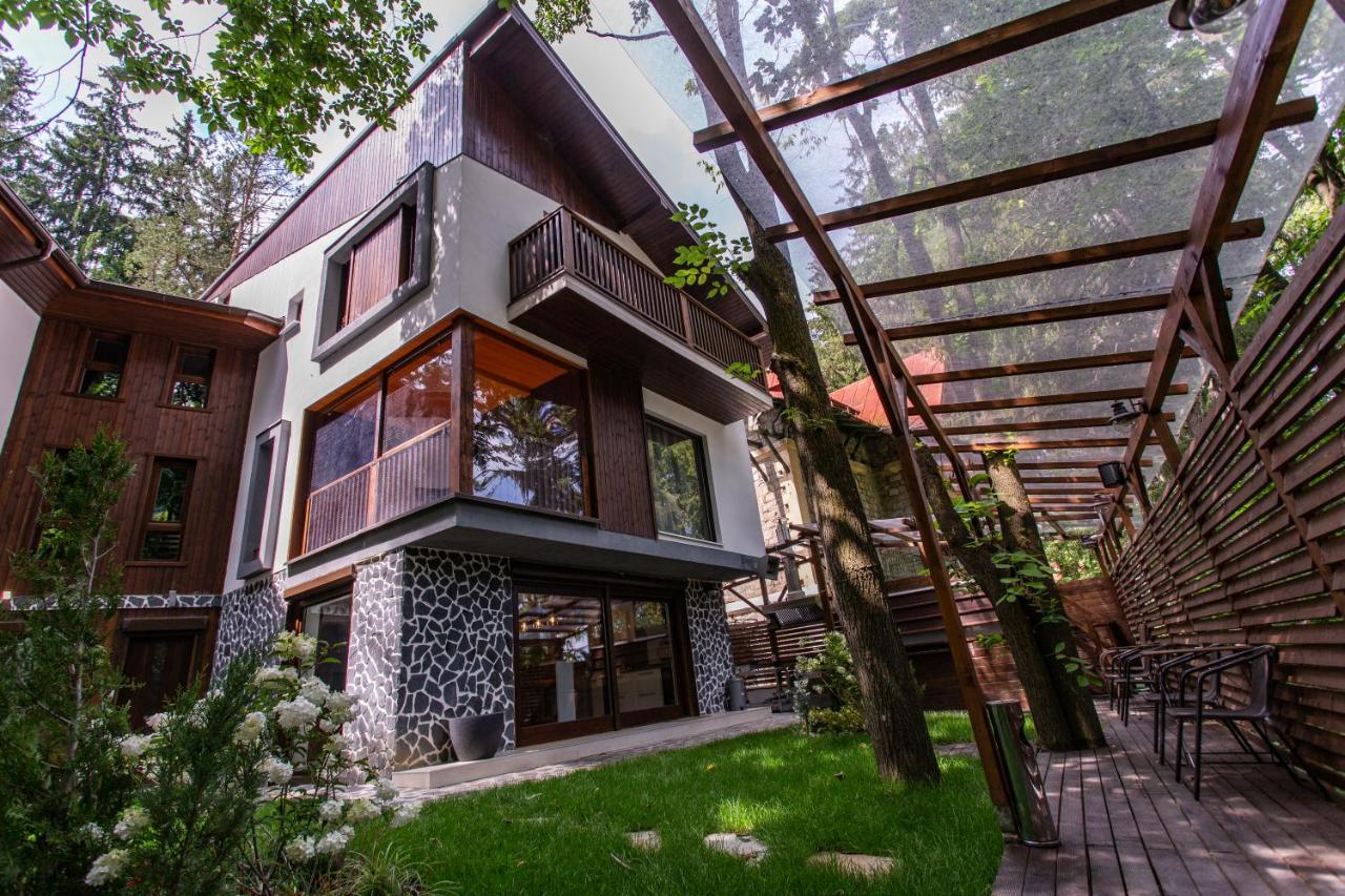 Holiday home Casadrago , Sauna Si Ciubar Cu Apa Sarata Sinaia